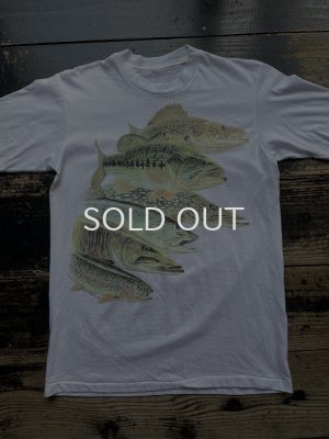画像1: 90s 川魚 Tシャツ