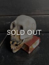 1950s 背表紙模様 日本製 スカル マッチホルダー