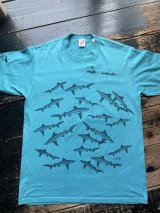 画像: 80s USA製 トルトラ島 サメ Tシャツ