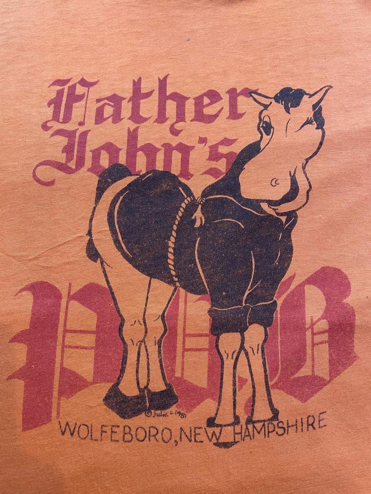 画像1: 80s USA戦 色褪せ 牛 プリント ボロ Tシャツ